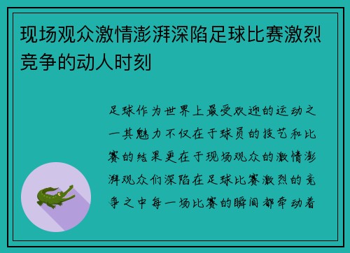现场观众激情澎湃深陷足球比赛激烈竞争的动人时刻