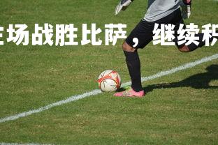 利记官网-帕尔玛主场战胜比萨,继续积极表现,帕尔玛足球队阵容