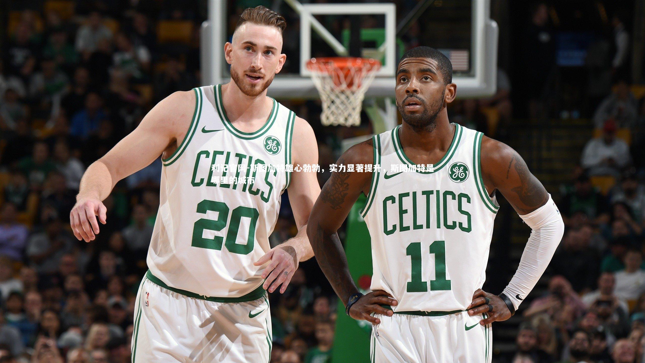 利记官网-斯图加特雄心勃勃,实力显著提升,斯图加特是哪里的城市